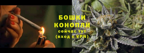 спайс Баксан