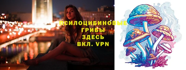 спайс Баксан